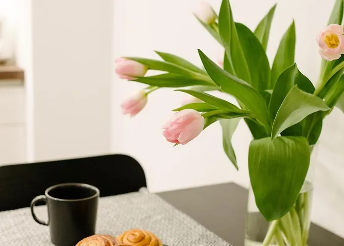 Traditional And Warm Latvian Dzīvoklis Riga